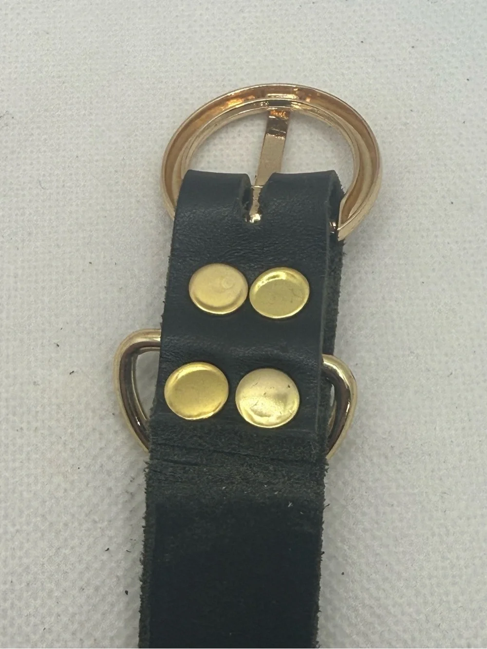 Handmade Leather Dog Collar with Gold Hardware